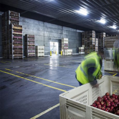 ذخیره سازی و خدمات سردخانه ای